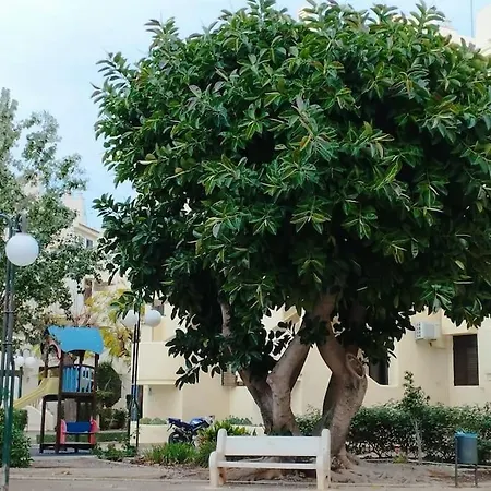 Apartment In Costa Blanka *